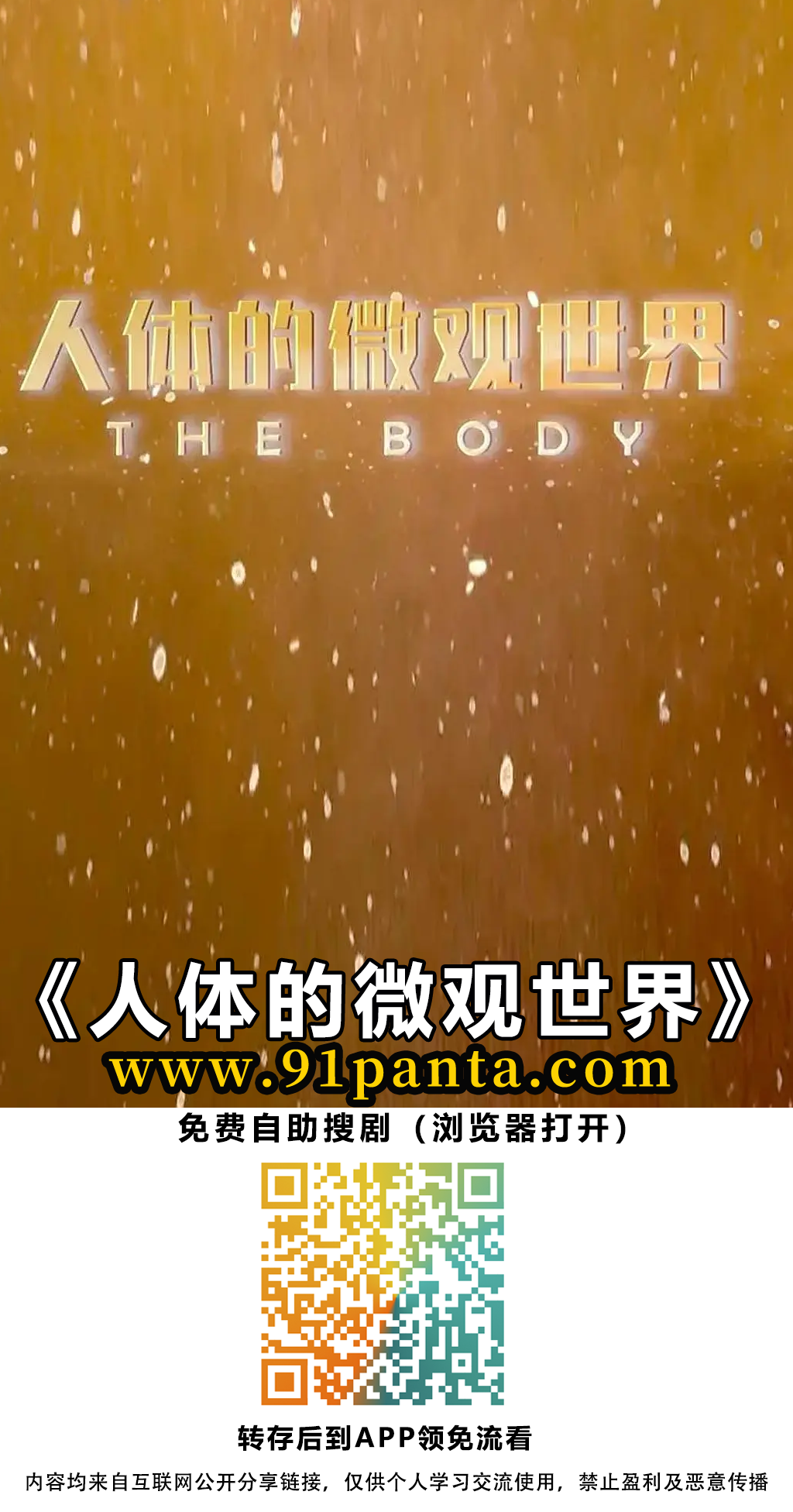 1145d9c0c5ea0395163baa78ca38536.png